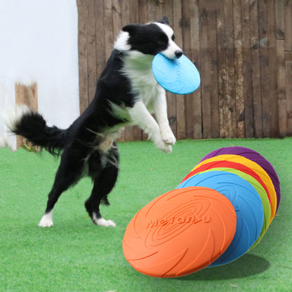 Dog Flying Disc | Outdoor Fetch & Shared Play