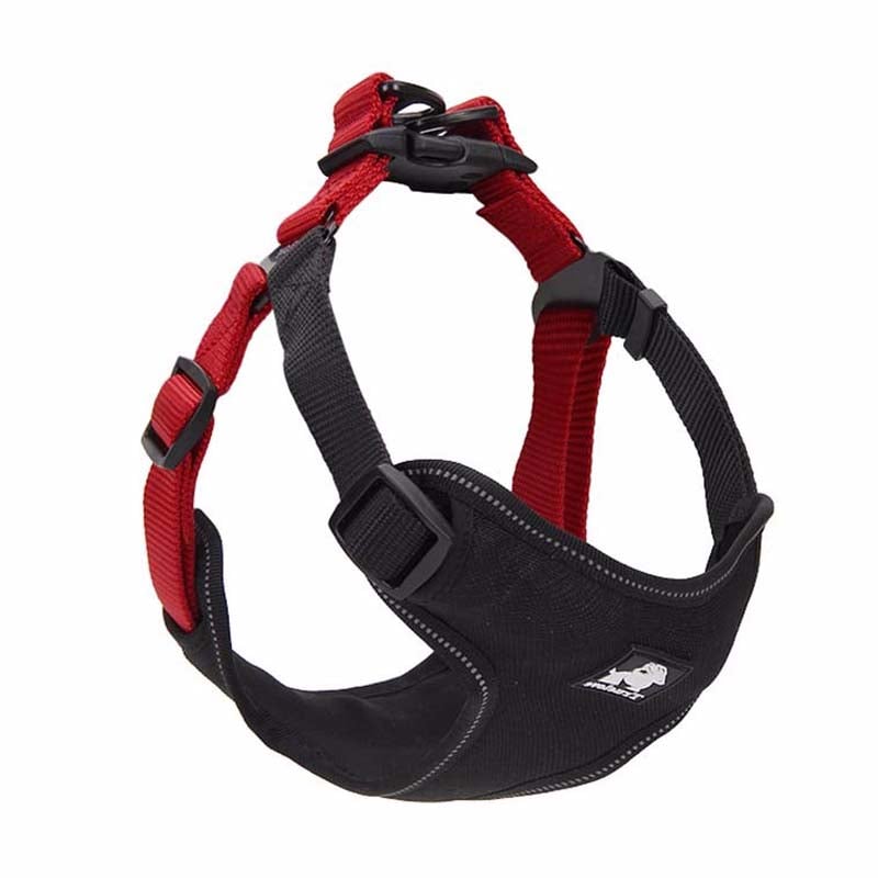 Dog Walking Leash and Collar Set