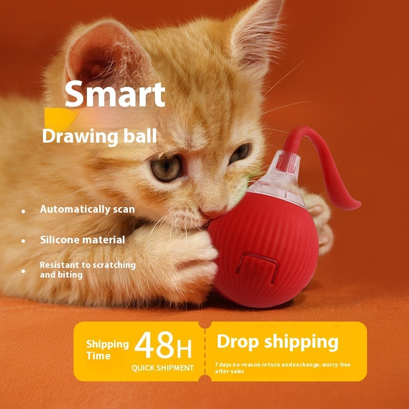 Kitten playing with a red drawing ball on an orange background
