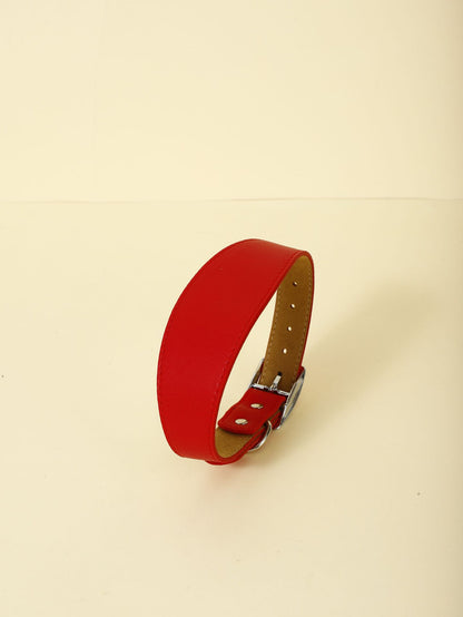Adjustable Pet Collar – Soft, Stylish & Perfect Fit for Every Dog