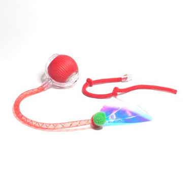Red toy with a colorful feather on a white background