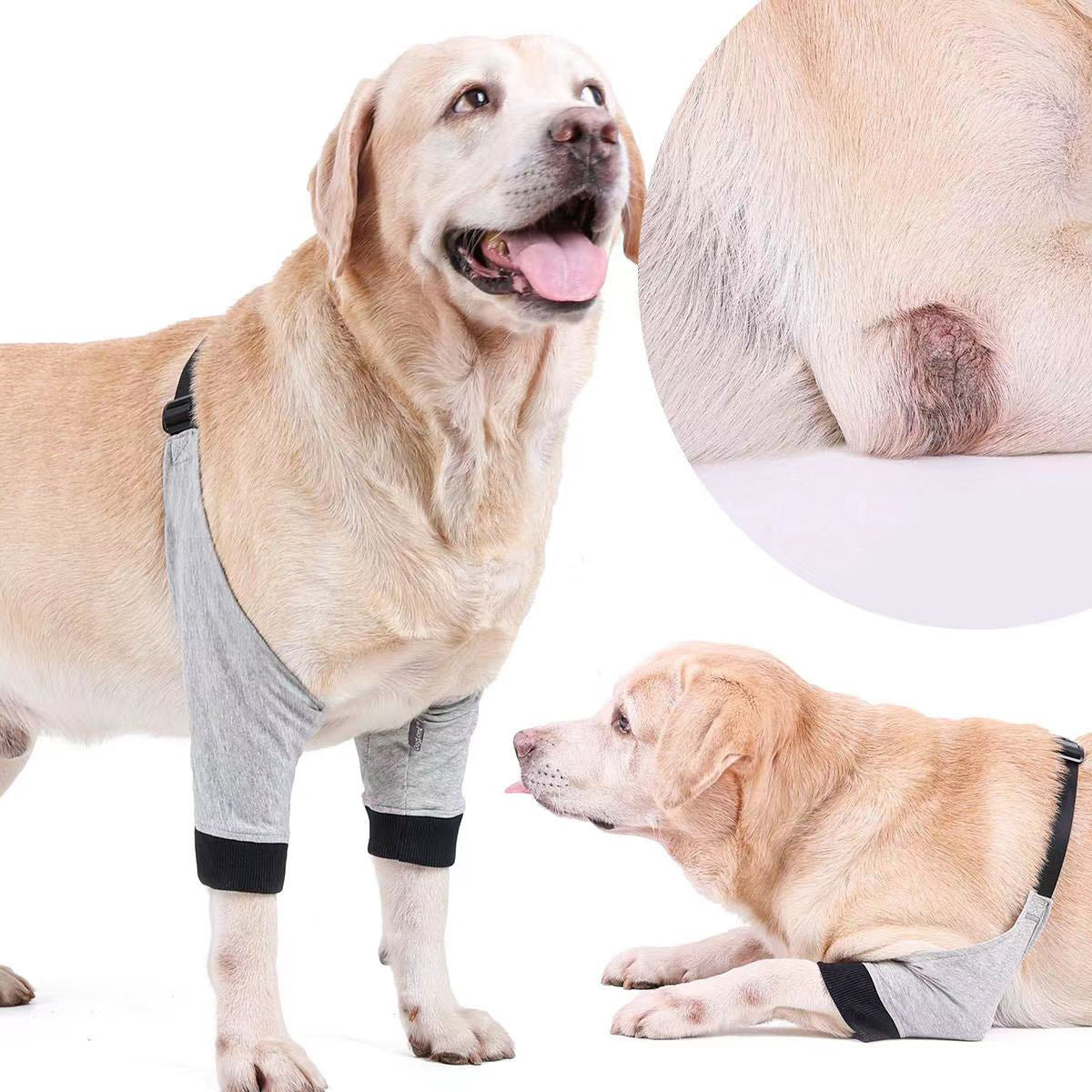Dog Leg Protection Sleeve – Joint & Knee Guard for Recovering Pets