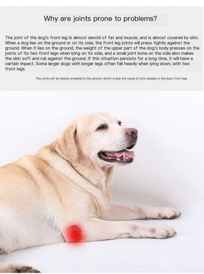 Dog Leg Protection Sleeve – Joint & Knee Guard for Recovering Pets