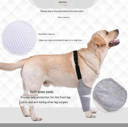 Dog Leg Protection Sleeve – Joint & Knee Guard for Recovering Pets
