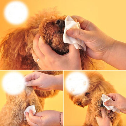Cat & Dog Paw Cleaning Wipes – Gentle Daily Grooming Wipes for Pets