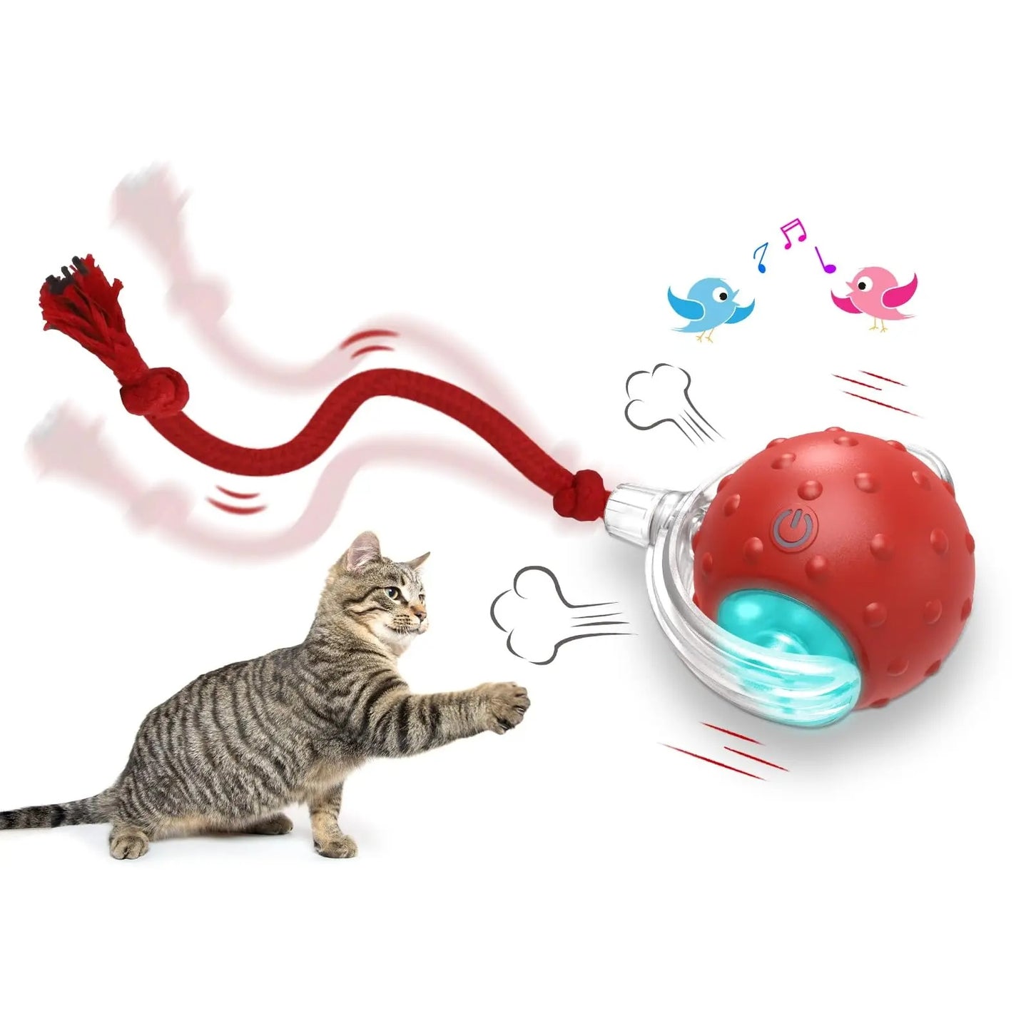 Cat toy with a red ball and red string, featuring a cat interacting with it on a white background.