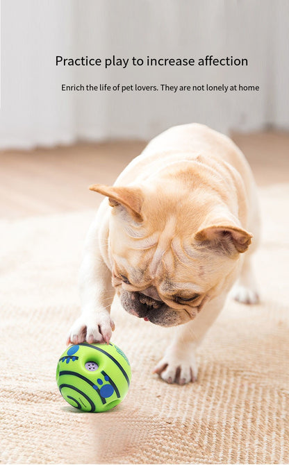 Sound-Making Dog Ball | Roll, Chase & Shared Play
