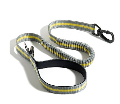 Fluorescent Retractable Dog Leash – Safe, Visible & Built for Every Walk