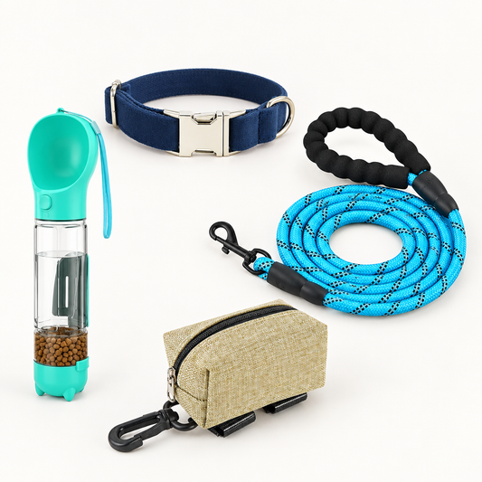 Dog Walk Essentials
